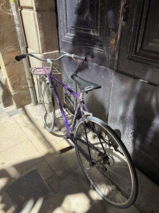 Bicicleta morada con cesta metálica