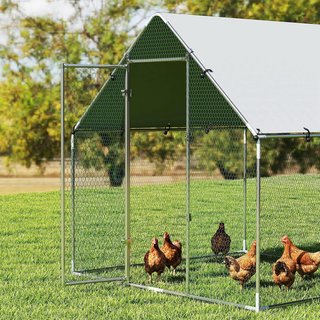 Pollaio per Galline da Esterno, 2x2x2m 4 m2 Recint