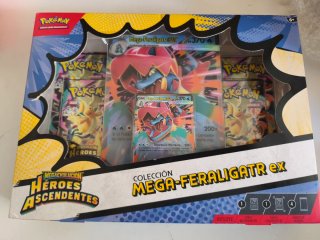 Mega Feraligatr EX Pokémon sellada