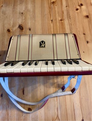 Acordeón Hohner Starlet 40