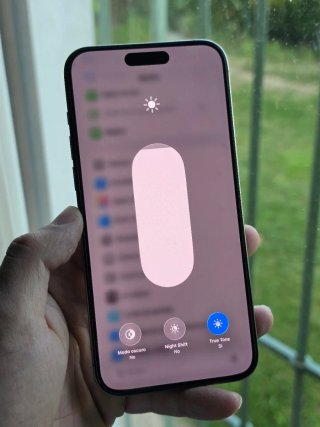 iPhone 15 Pro Max 256GB 100% bateria