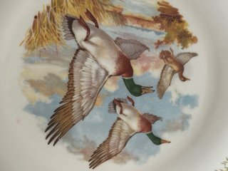 Plato muy bello de porcelana de Mulder & Zoon