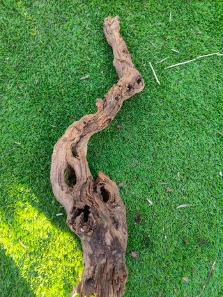 Tronco decorativo natural para terrario