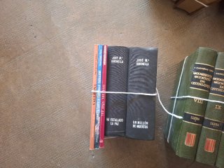 Lote de libros