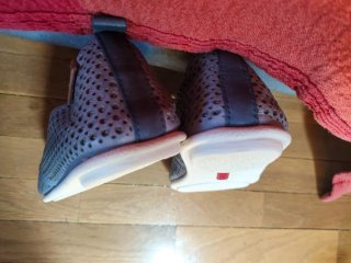 Zapatos Pikolinos Piel Perforada Beige/Gris