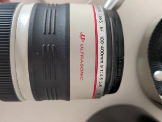 Canon EF 100-400mm f/4.5-5.6 L IS USM