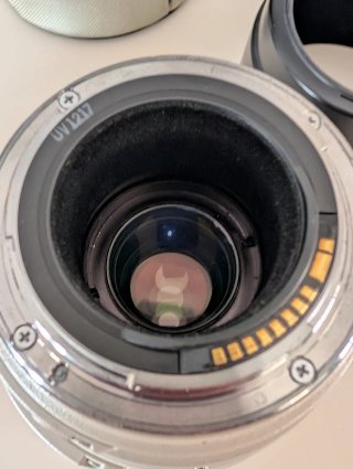 Canon EF 100-400mm f/4.5-5.6 L IS USM