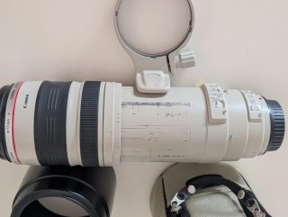 Canon EF 100-400mm f/4.5-5.6 L IS USM