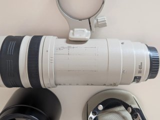 Canon EF 100-400mm f/4.5-5.6 L IS USM