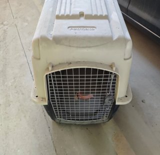 Transportín para mascotas Petmate