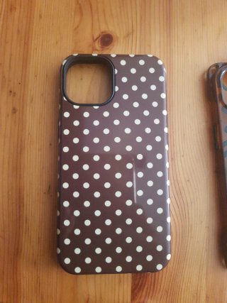 Fundas iPhone 13