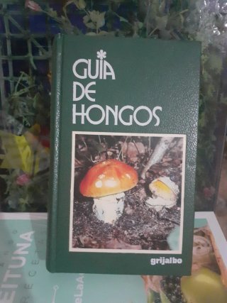Guía de Hongos Grijalbo