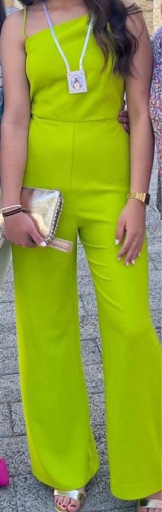 Mono verde brillante fiesta