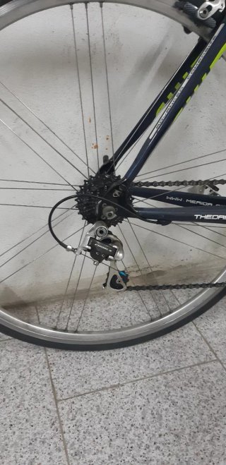 Bici da strada Merida Carbono