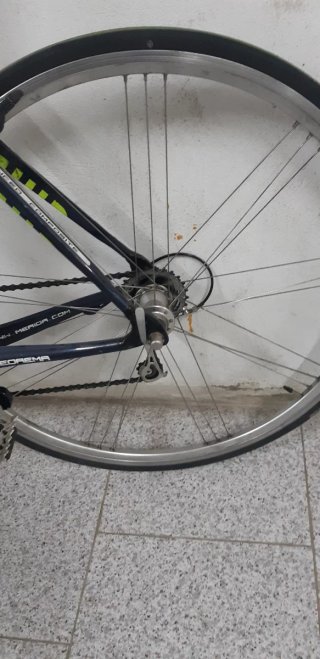 Bici da strada Merida Carbono