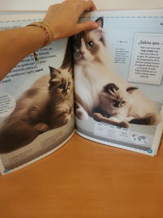 El magnífico libro de los gatos