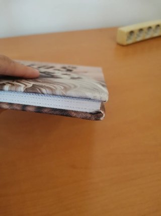 El magnífico libro de los gatos