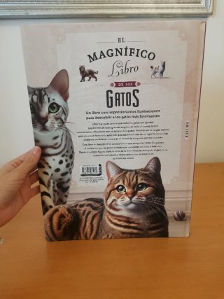 El magnífico libro de los gatos