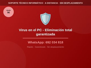 Virus en el PC - Eliminación total garantizada