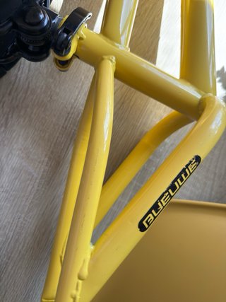 Bicicleta sin pedales 16 pulgadas