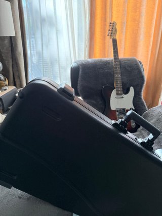 Fender American Pro Telecaster Maple