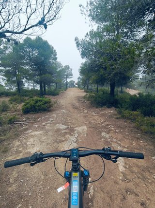 Orbea Wild FS H10