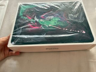 iPad Pro 11 2ª Gen Space Gray