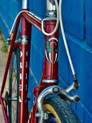 Orbea Sierra Nevada 1975