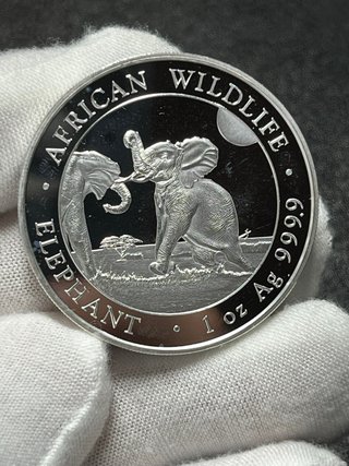 Moneda Plata Elefante Africano 2024 1 oz Ag 999.9