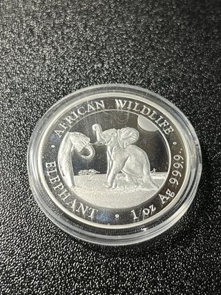 Moneda Plata Elefante Africano 2024 1 oz Ag 999.9