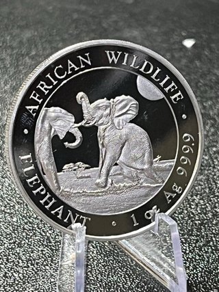 Moneda Plata Elefante Africano 2024 1 oz Ag 999.9