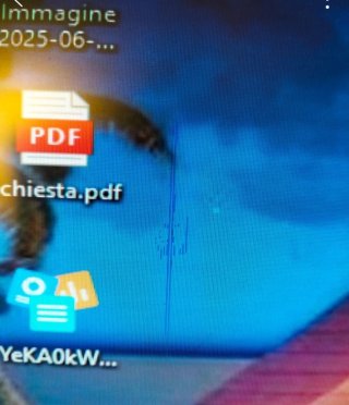 Monitor Acer v193w