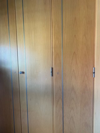 Regalo Puertas de armario de madera