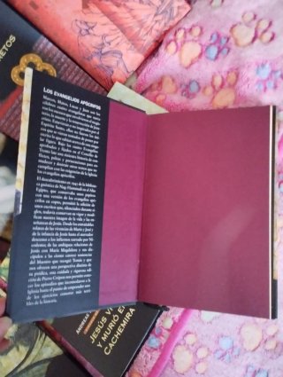 La Verdadera historia de los cátaros