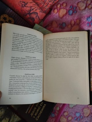 La Verdadera historia de los cátaros