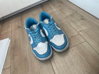 Zapatillas Nike Dunk Low Azul y Blanco