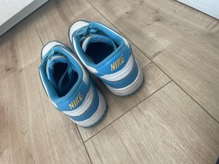 Zapatillas Nike Dunk Low Azul y Blanco