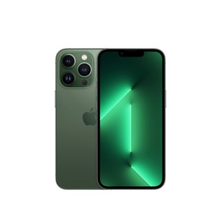 iPhone 13 Pro 512GB (100%)