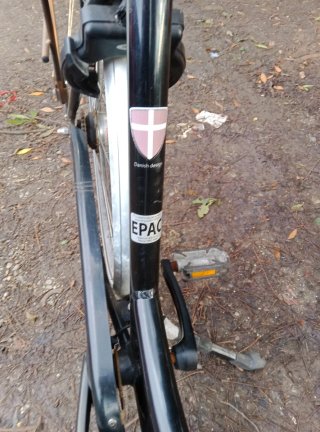 Bicicleta eléctrica estilo holandés