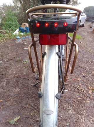 Bicicleta eléctrica estilo holandés