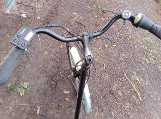 Bicicleta eléctrica estilo holandés