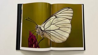 Libro Anuario 2010 Fonamad
