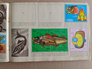 Álbum de cromos Maga CIENCIAS