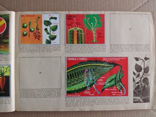 Álbum de cromos Maga CIENCIAS