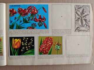 Álbum de cromos Maga CIENCIAS