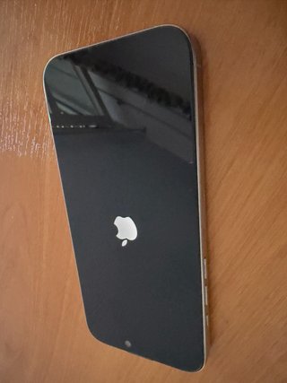 iPhone 16 Pro Max 256GB Plata