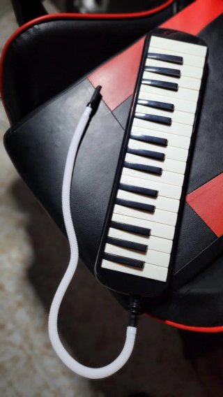 Melódica con funda y boquilla