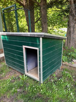 Caseta para perros de madera verde.
