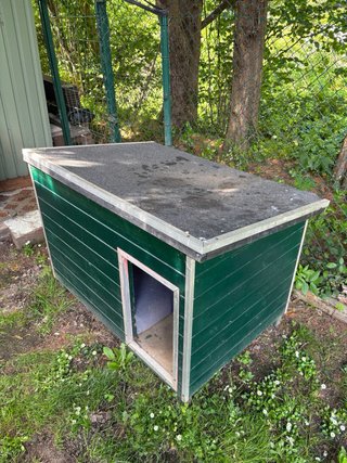 Caseta para perros de madera verde.