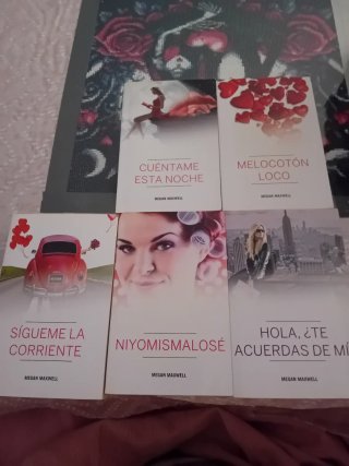 Lote libros megan maxwell
